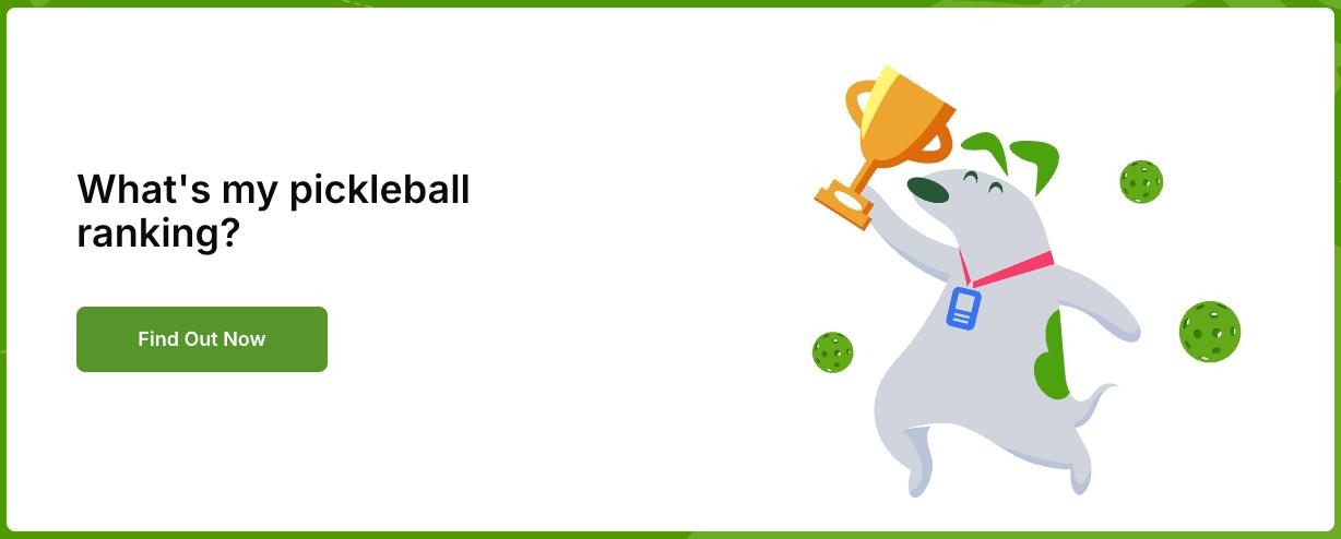 World Pickleball Rankings Guide: How WPR System Works